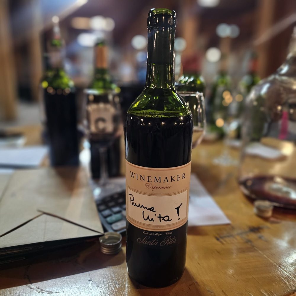 Visita a Viña Santa Rita - Botella Winemaker